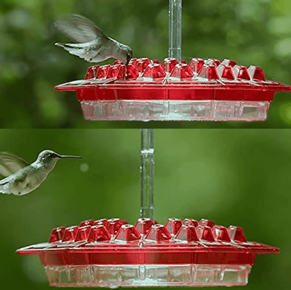 Wiszący podajnik dla kolibrów z nektarem i zabezpieczeniem