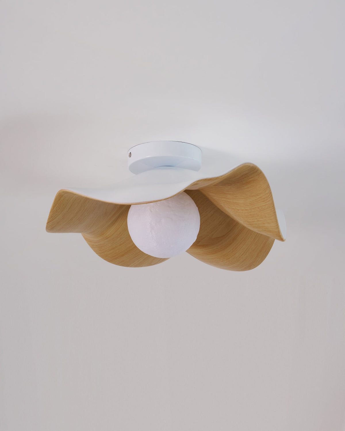 Plafonnier au plafond à forme douce et organique
