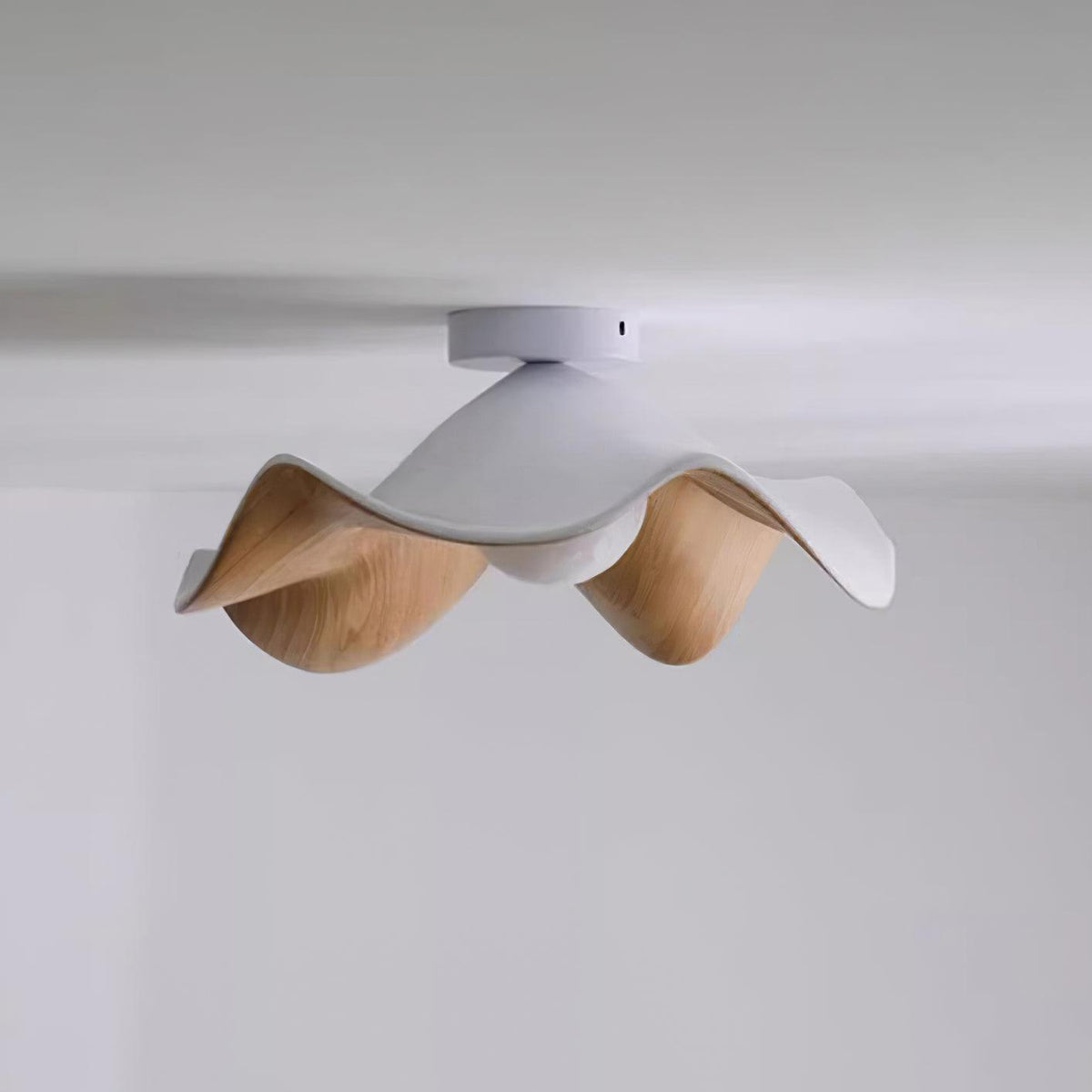 Plafonnier au plafond à forme douce et organique