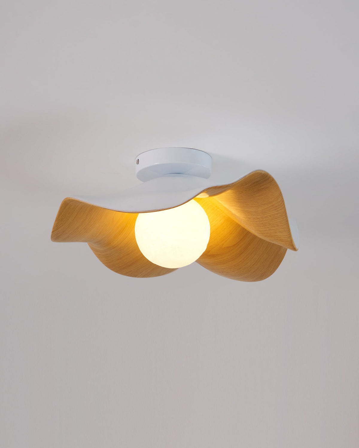 Plafonnier au plafond à forme douce et organique