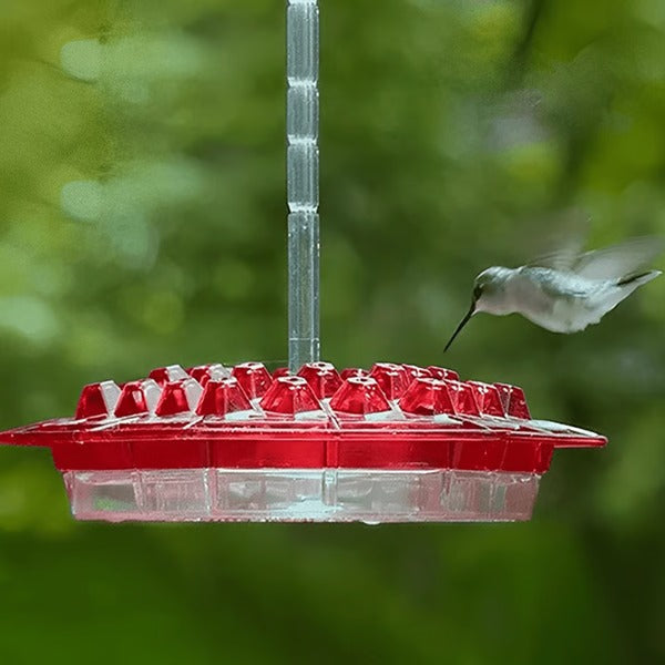 Karmnik dla kolibrów wiszący z pojemnikiem na nektar i ochroną mrówek
