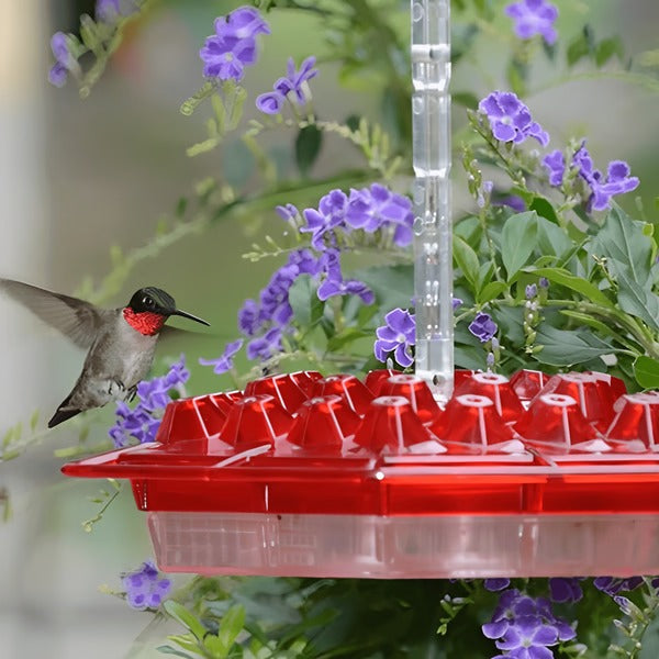 Karmnik dla kolibrów wiszący z pojemnikiem na nektar i ochroną mrówek